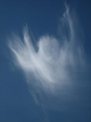 20070514105604_angel cloud