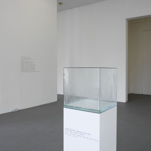 greenfort_Chaudfontaine Condensation Cube – after Hans Haacke 2 (2006)