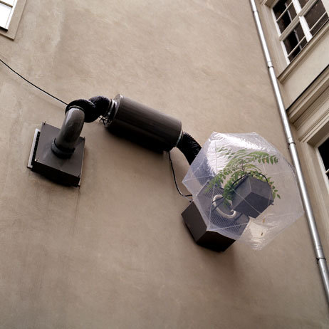 Ingo Vetter- “Adaptation Laboratory”, 2004