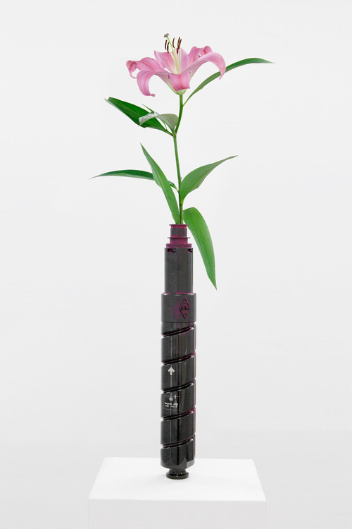 david_stjernholm_Vase, 2013  Canon laser cartridge (magenta), pigment, altering flower